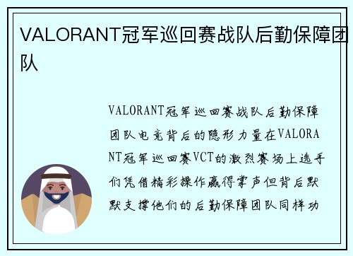 VALORANT冠军巡回赛战队后勤保障团队